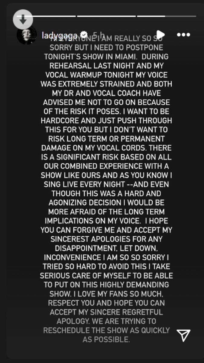lady gaga insta story