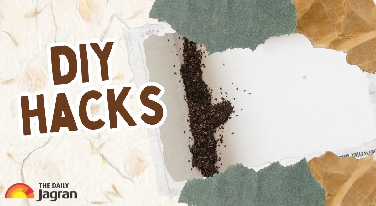 5-diy-ways-to-get-rid-of-termites-from-home-walls-under-rs-50