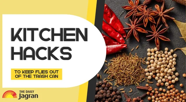 this-easy-kitchen-spice-trick-can-keep-flies-out-of-your-trash-can