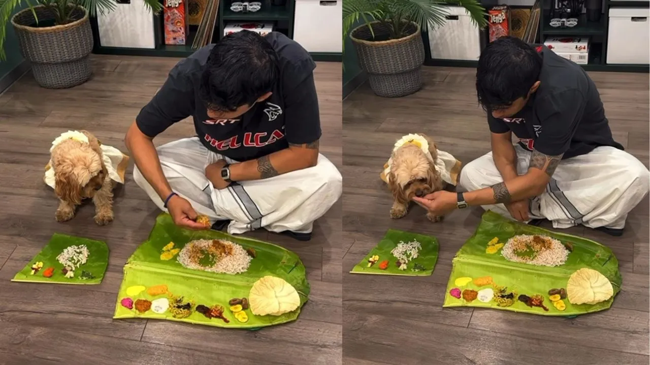 adorable-dog-in-traditional-outfit-joins-owner-for-onam-sadhya-internet-cant-stop-gushing-viral-video