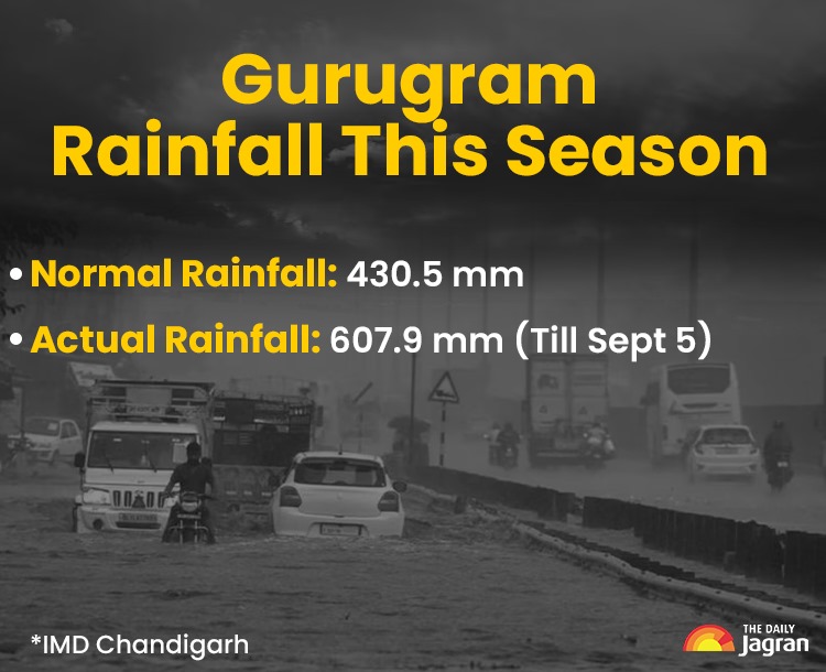 WhatsApp Image 2025-09-05 at 5.34.26 PM