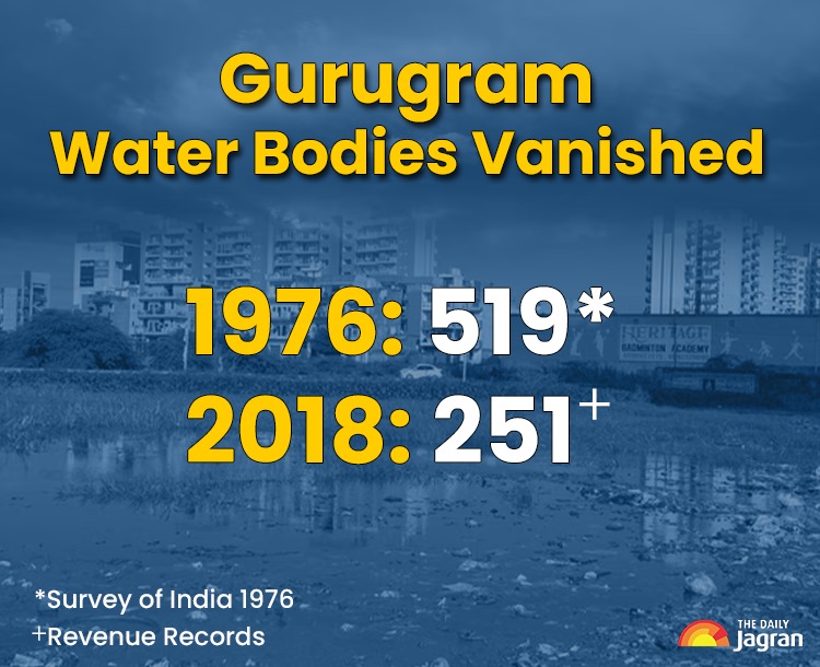 WhatsApp Image 2025-09-05 at 5.45.16 PM