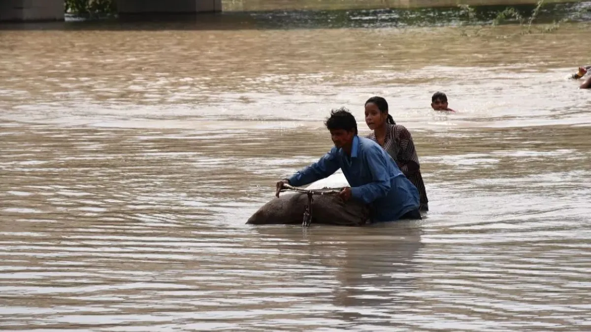 yamuna-flood-woes-delhi-ncr-faces-high-threat-of-viral-outbreak-as-water-level-recedes-check-advisory