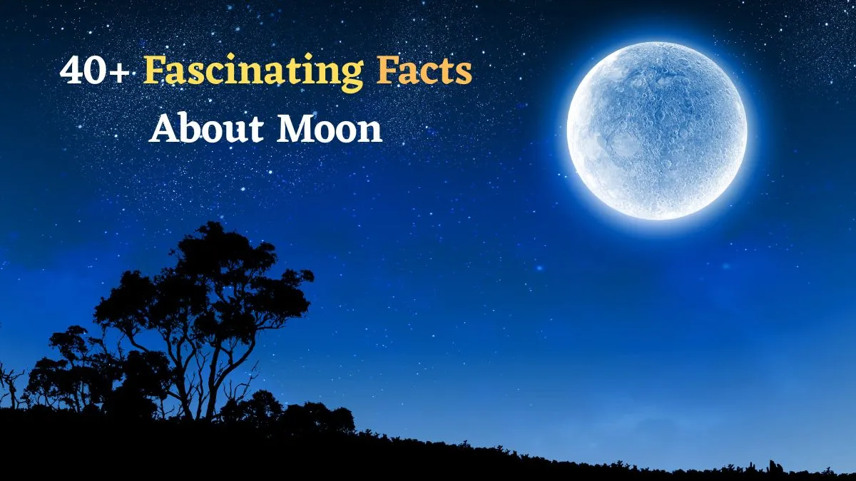 interesting-facts-about-earths-satellite-moon-history-origin-mysterious-facts-and-more