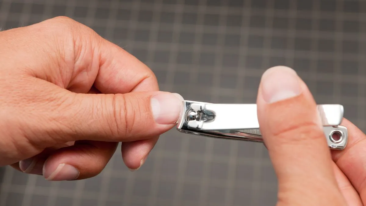 do-you-know-why-we-dont-feel-pain-when-we-cut-our-nails-here-is-a-scientific-reason