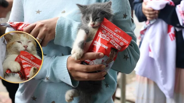 indonesia-muslim-country-politicians-abandoning-cats-in-mass-protest-know-reason