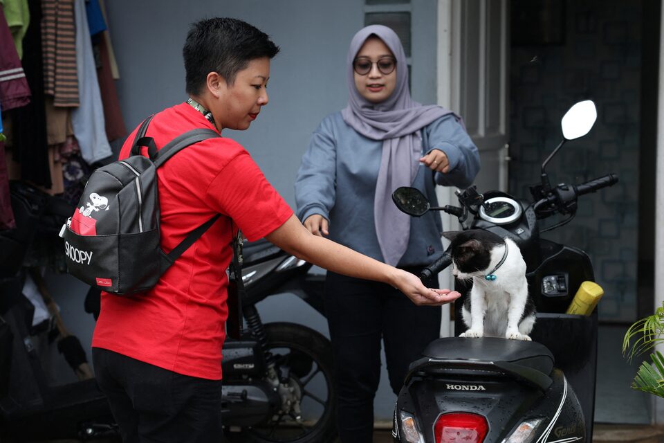 INDONESIA CAT