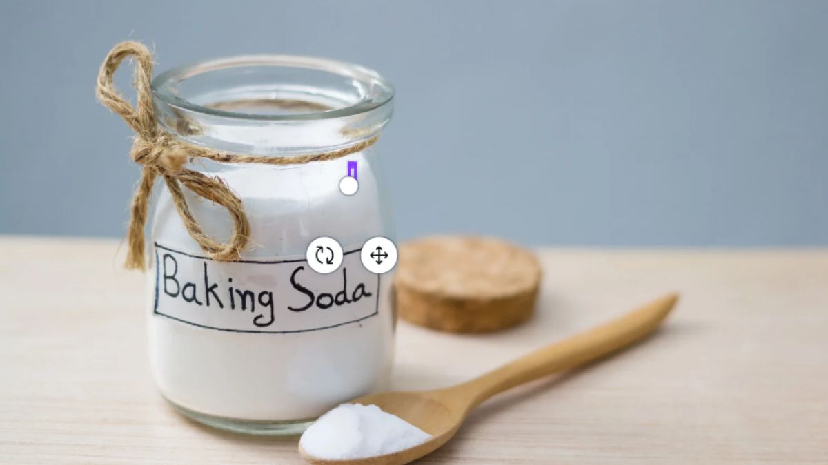 hacks to remove bad smell from lunch box