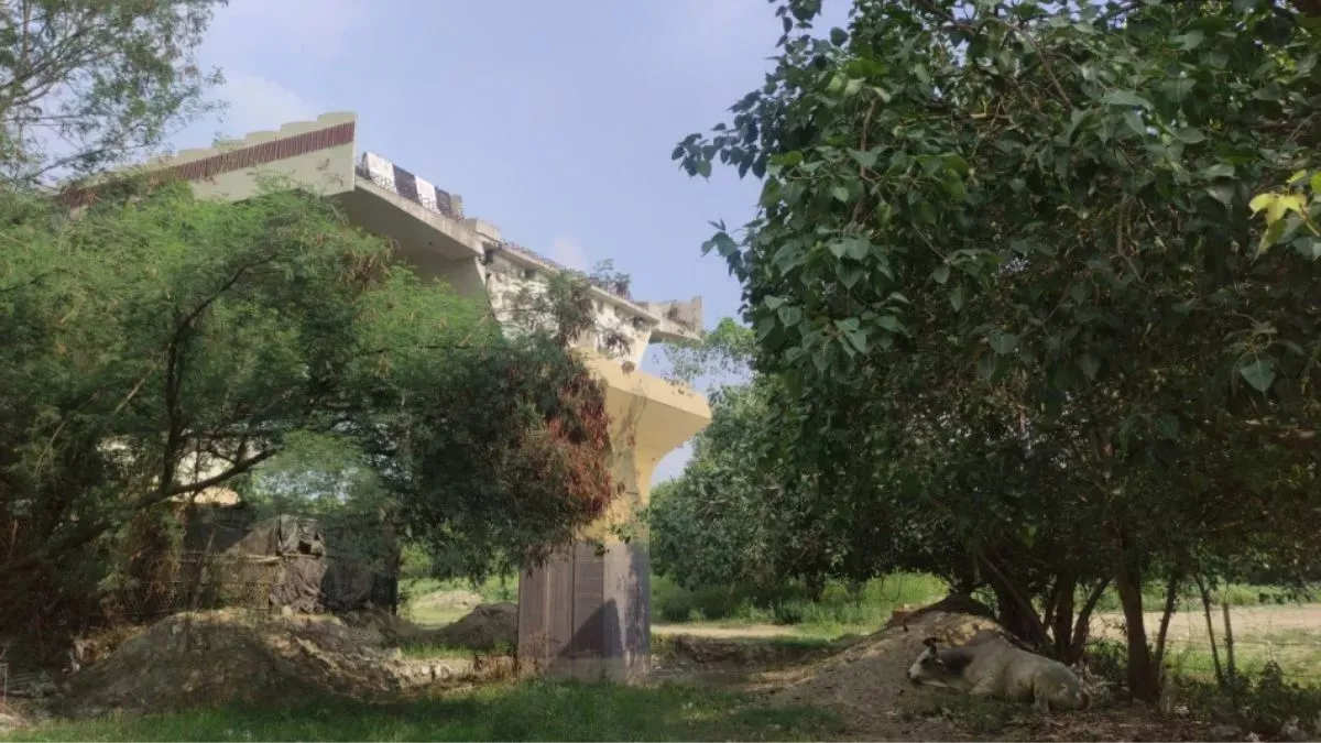 barapullah-flyover-phase-3-update-elevated-corridor-gets-tree-cutting-clearance-to-begin-ops-within-a-year