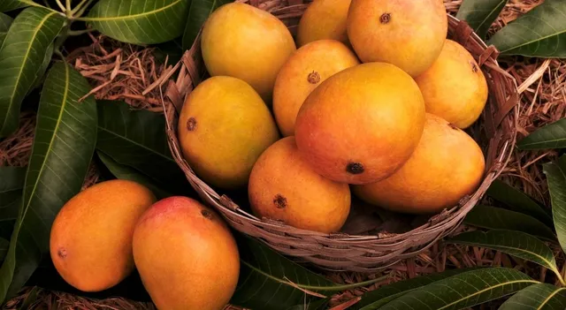 which-is-the-national-fruit-of-india-this-fruit-is-also-known-as-the-king-of-fruits