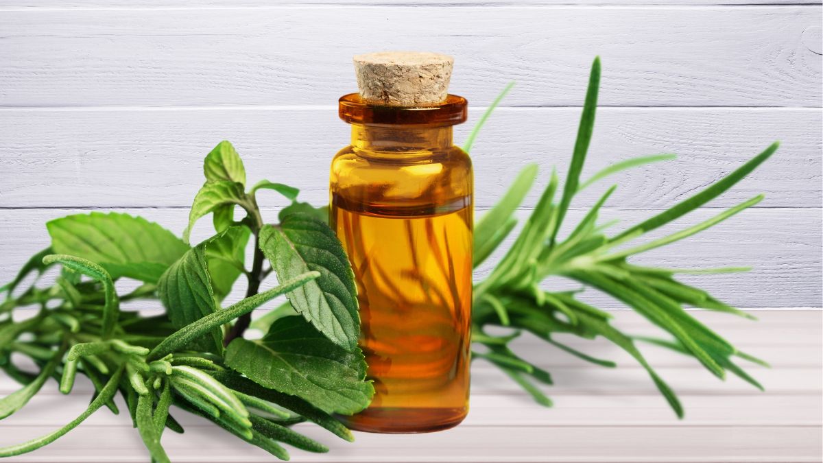 natural remedies for dry scalp