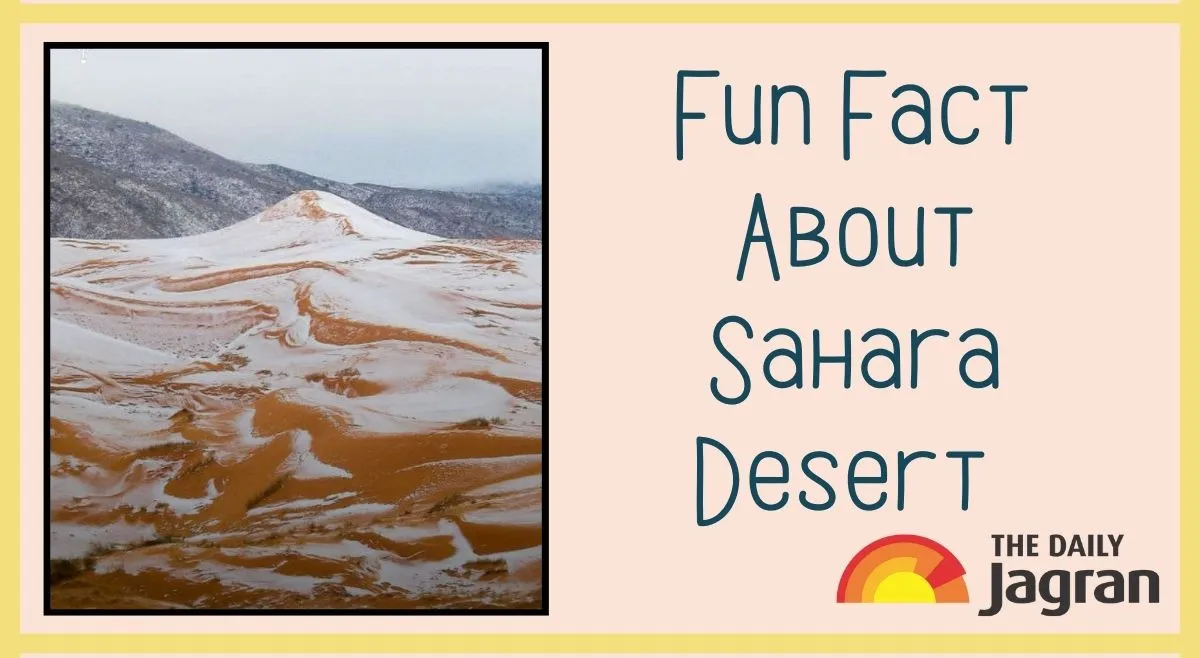 did-you-know-worlds-hottest-sahara-desert-receives-snowfall-here-is-a-fun-fact