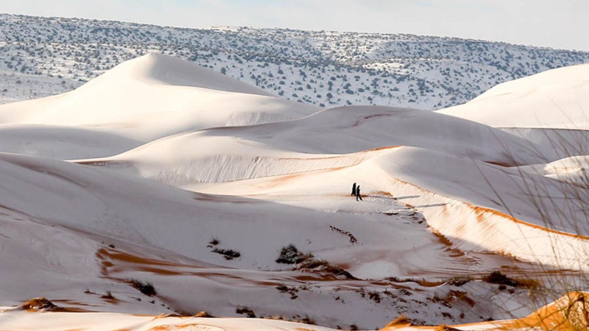 how sahara desert receives snowfall