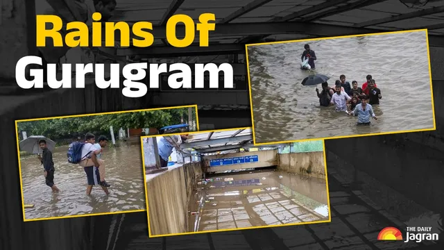 rains-of-gurugram-how-waterlogging-made-gurugram-streets-a-breeding-ground-for-diseases-experts-weigh-in