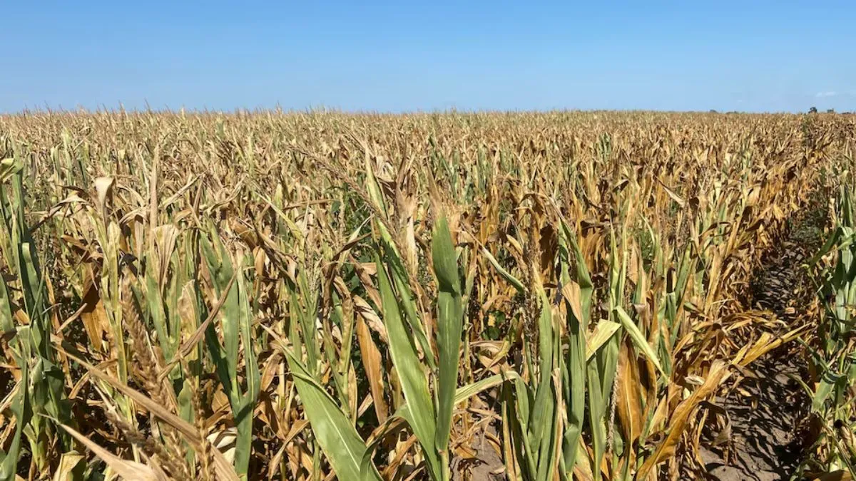 us-drought-wildfire-season-2025-california-oregon-washington-on-high-alert-crops-rivers-and-reservoirs-under-stress