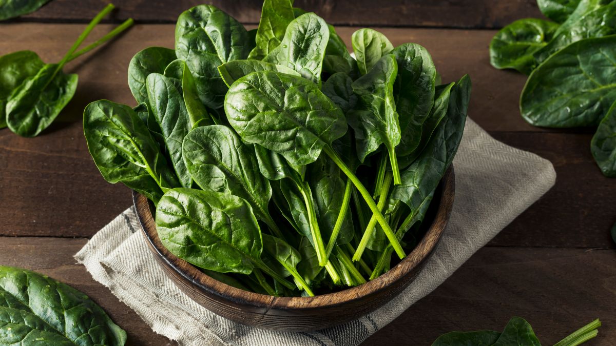 Harvest Spinach In Garden Container