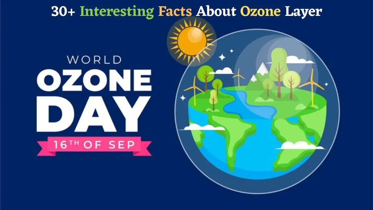 world-ozone-day-30-interesting-and-lesserknown-facts-about-earths-ozone-layer