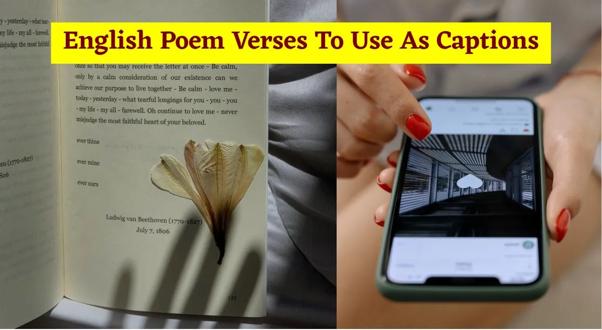 heartwarming-english-poem-verses-to-use-as-captions-for-instagram-and-whatsapp