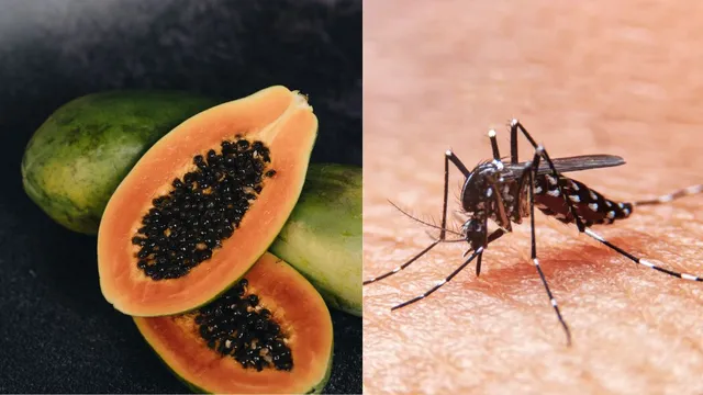what-to-eat-during-dengue-doctor-shares-diet-tips-for-platelet-boost-and-quick-recovery
