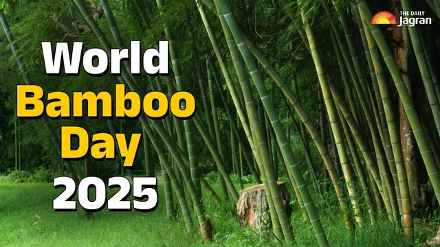world-bamboo-day-2025-check-out-its-history-significance-theme