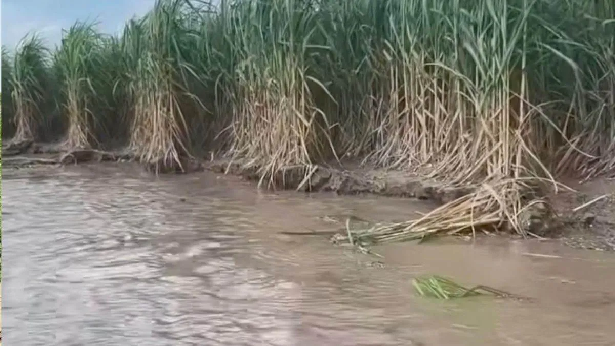 flood-waters-swallow-hopes-in-hapur-as-farmers-dreams-for-childrens-futures-drown