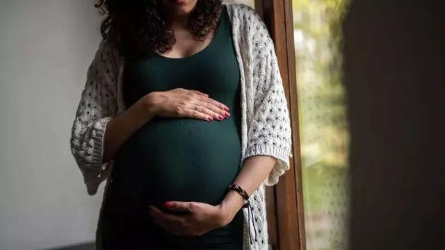 noida-dengue-cases-cross-260-doctors-issue-highrisk-alert-for-pregnant-women