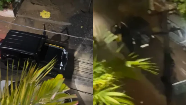 viral-video-blinkit-delivery-arrives-in-black-mahindra-thar-customer-asks-is-this-for-real