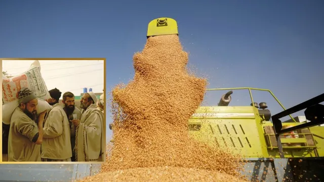 pakistan-wheat-crisis-shehbaz-sharif-government-imposes-restrictions-on-flour-transport