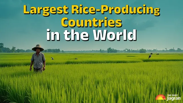 list-of-top-10-rice-producing-countries-in-the-world-in-2025