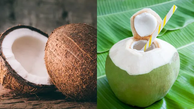 coconut-vs-tender-coconut-which-is-a-healthier-choice-for-you