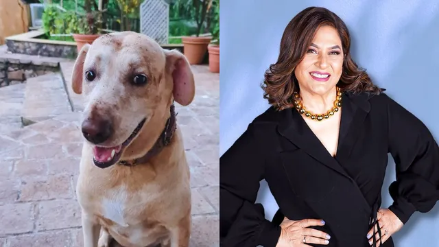 archana-puran-singh-dog-drama-passes-away-son-ayushmaan-sethi-pens-heartfelt-note