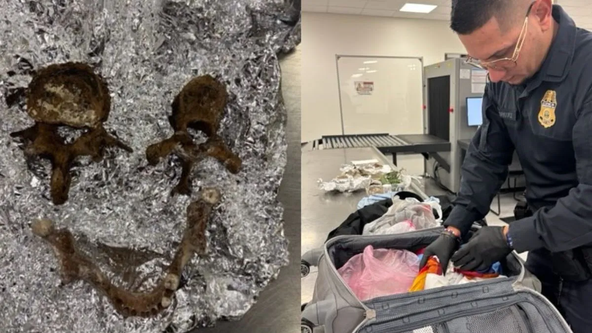 florida-airport-horror-human-remains-including-skull-found-in-foilwrapped-bag-during-routine-check