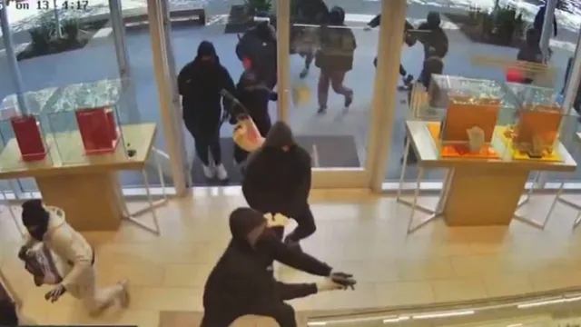 25-masked-thieves-loot-1-million-from-california-jewellery-store-in-under-two-minutes-viral-video-leaves-internet-stunned