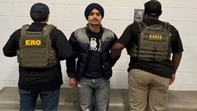 indian-partap-singh-arrived-in-us-illegally-arrested-for-causing-vehicle-crash-in-california