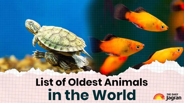 list-of-the-top-9-oldest-living-animals-on-earth-as-of-2025