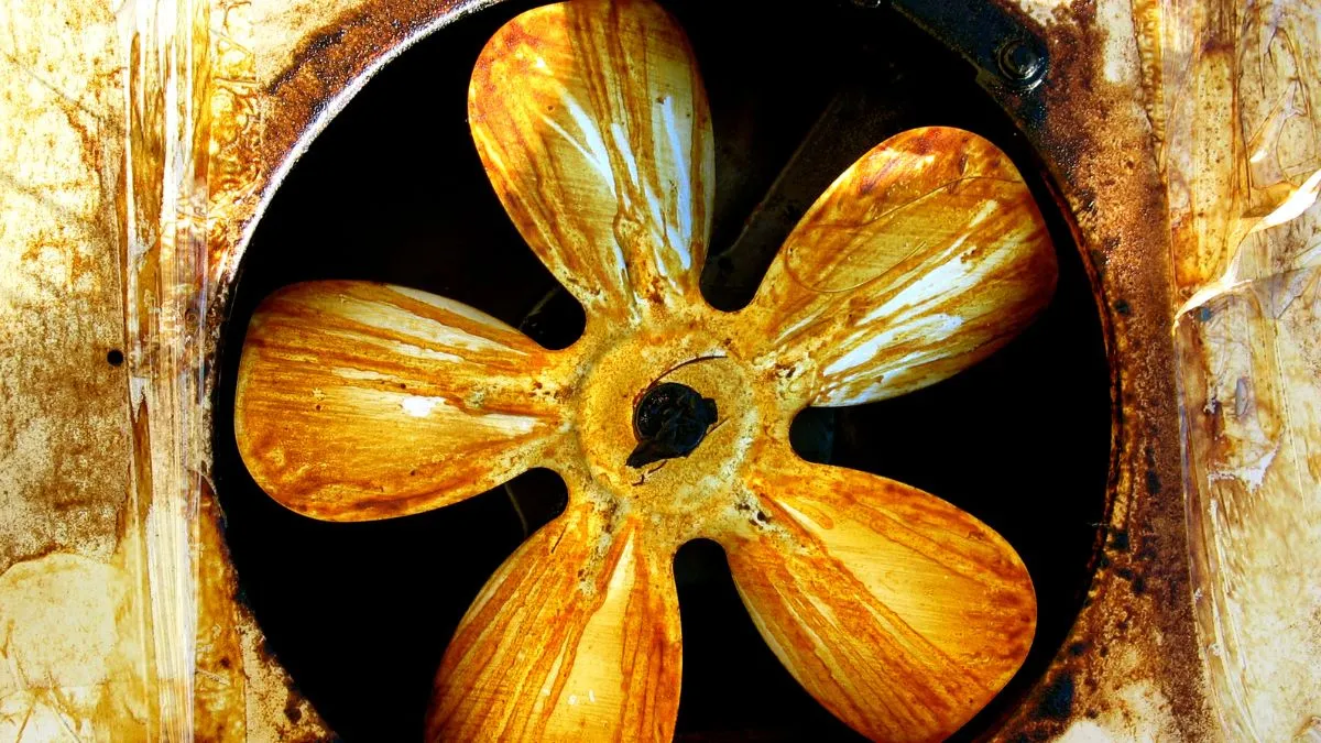 4-genius-kitchen-items-that-instantly-clean-greasy-exhaust-fans