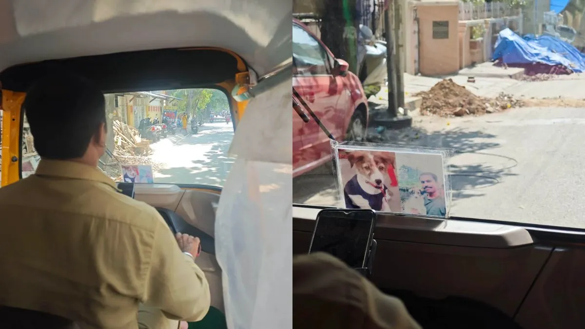 bengaluru-auto-driver-carries-late-pet-dogs-photo-feeds-stray-dogs-reddit-post-wins-heart-online