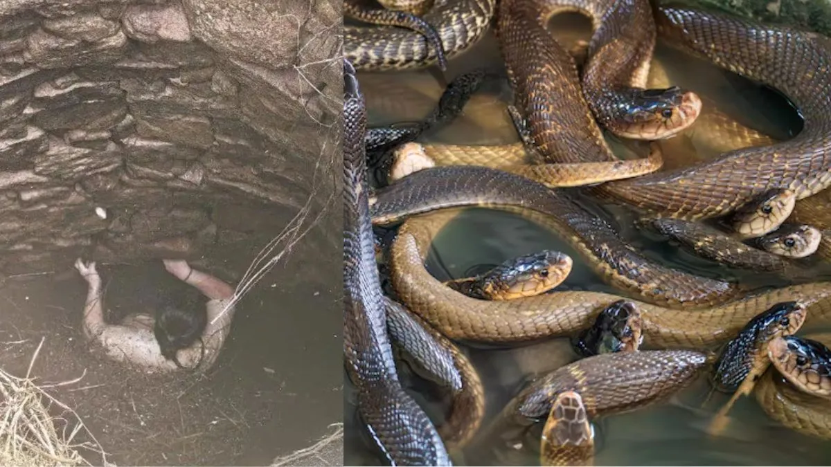 china-woman-qin-trapped-in-well-with-snakes-for-54-hours-survives-over-two-days-by-clinging-to-wall
