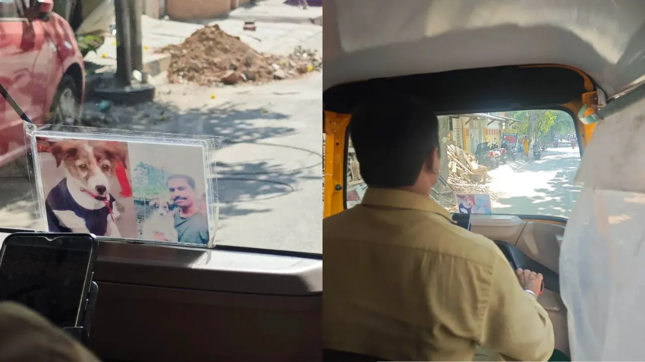 bengaluru-auto-driver-heartwarming-tribute-to-his-late-pet-dog-goes-viral-reddit-post-touches-hearts