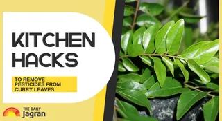 4 Kitchen Hacks To Remove Pesticides From Curry Leaves While Keeping The Flavour