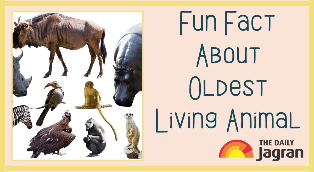 did-you-know-the-oldest-living-land-animal-on-earth-is-192-years-old-heres-the-fun-fact