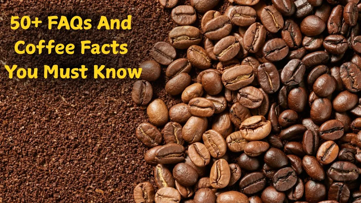 faqs-and-fun-trivia-about-coffee-you-must-know-international-coffee-day