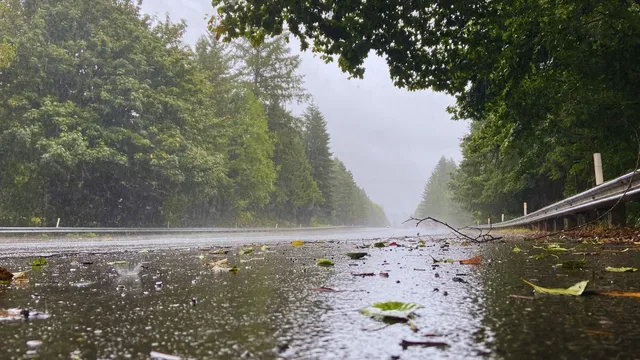 odisha-weather-imd-issues-red-alert-for-puri-ganjam-gajapati-rayagada-koraput-kalahandi-kandhamaland-districts-amid-heavy-rain-odisha-weather-news