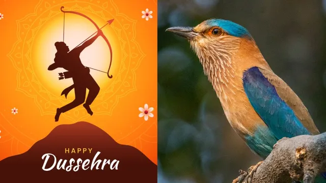 dussehra-2025-why-seeing-a-neelkanth-bird-is-considered-auspicious-on-vijayadashami