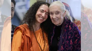 Jane Goodall - The Power Of Love