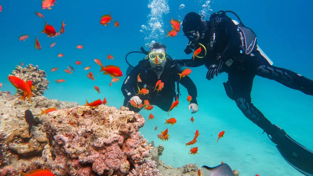mumbai-scuba-diver-saved-by-apple-watch-ultra-after-underwater-equipment-failure-in-puducherry-tim-cook-responds