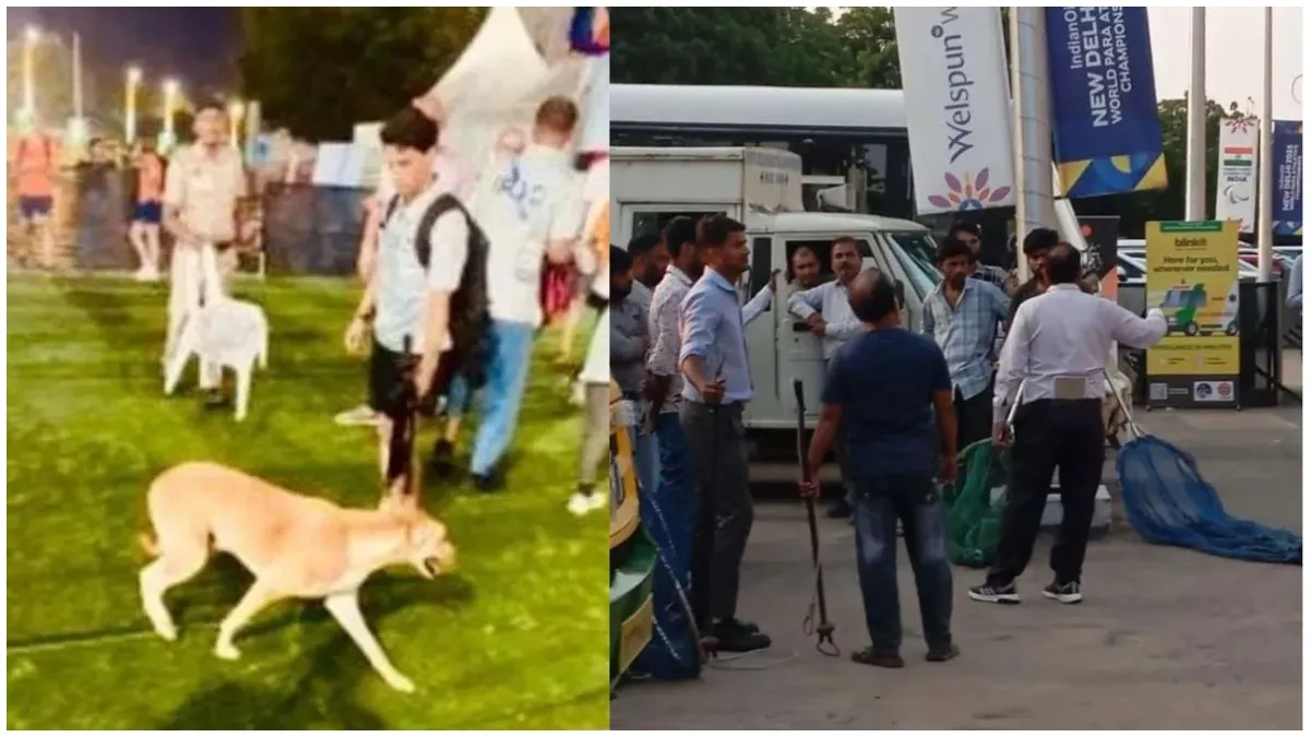 stray-dogs-bite-kenyan-japanese-coaches-at-jln-stadium-during-world-para-athletic-championship-in-delhi