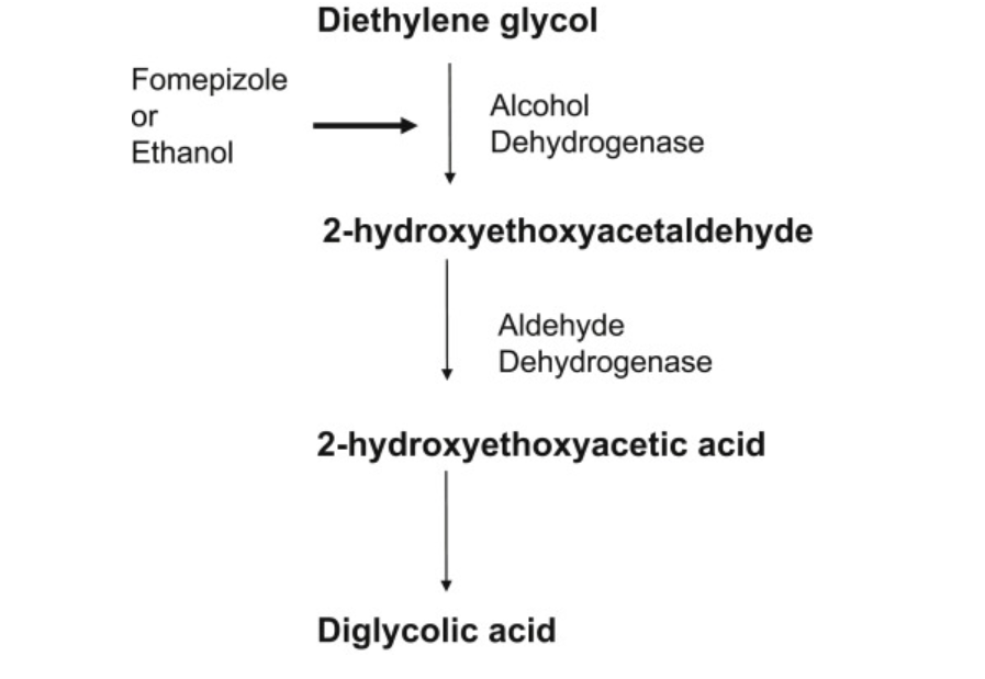 Screenshot 2025-10-04 175824