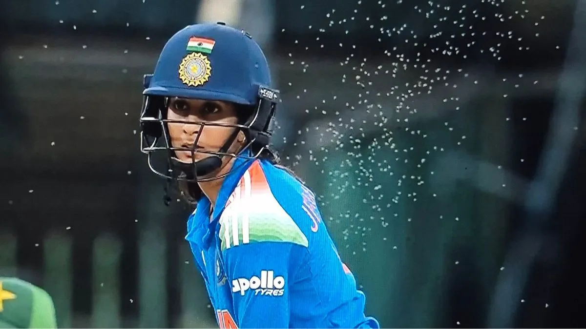 indw-vs-pakw-womens-world-cup-insect-outbreak-disrupts-india-pakistan-match-ground-staff-rush-to-control-bug-invasion