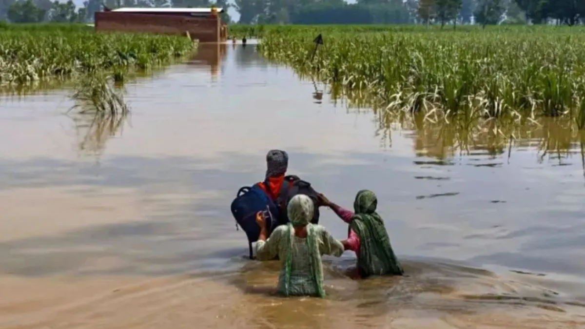 punjab-floods-kisan-mazdoor-morcha-demands-compensation-for-affected-farmers